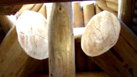 Log hut